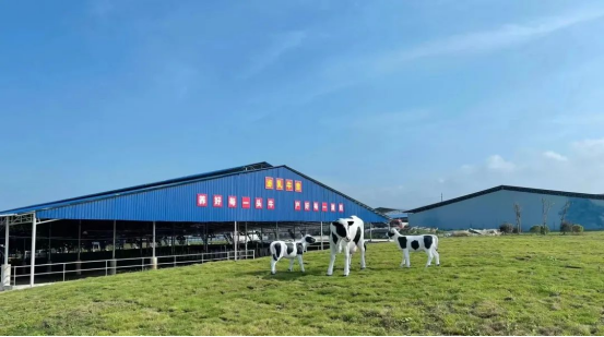 奶源建設(shè)再提速！田東縣皇氏奶業(yè)示范區(qū)正式投產(chǎn)！