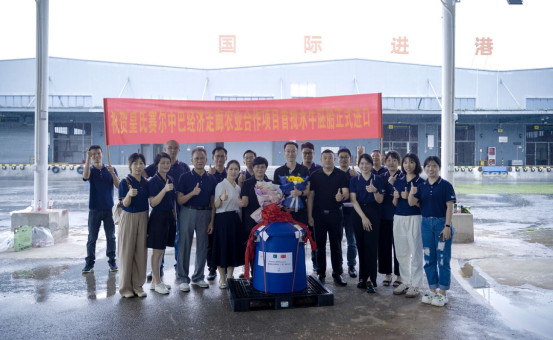 重磅！全國(guó)首批5000枚進(jìn)口巴基斯坦優(yōu)質(zhì)奶水牛胚胎入境，第一時(shí)間落戶皇氏集團(tuán)投入奶水牛改良繁育生產(chǎn)